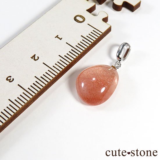 ե󻺥ȥ٥꡼ĤΥڥȥȥå Cμ̿4 cute stone