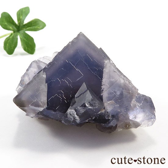 ѥ ֥롼ե饤Ȥθ μ̿1 cute stone