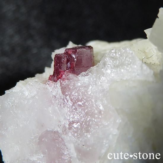 äʥ󥷥˥ʥСդ 44gμ̿0 cute stone