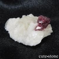 äʥ󥷥˥ʥСդ 7gβ