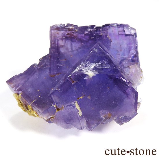ڥ󻺥ѡץ֥롼ե饤Ȥθ μ̿0 cute stone