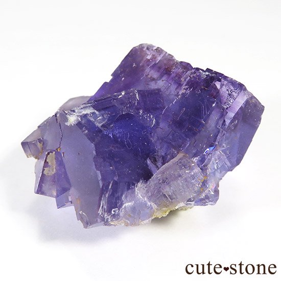 ڥ󻺥ѡץ֥롼ե饤Ȥθ μ̿1 cute stone