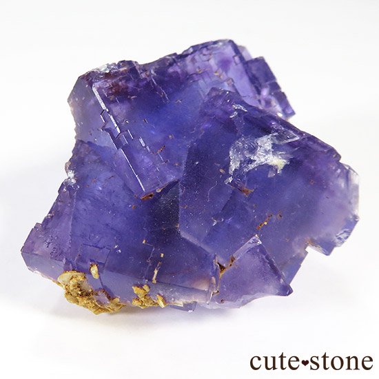 ڥ󻺥ѡץ֥롼ե饤Ȥθ μ̿2 cute stone