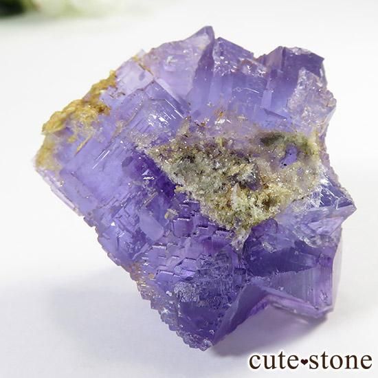 ڥ󻺥ѡץ֥롼ե饤Ȥθ μ̿5 cute stone