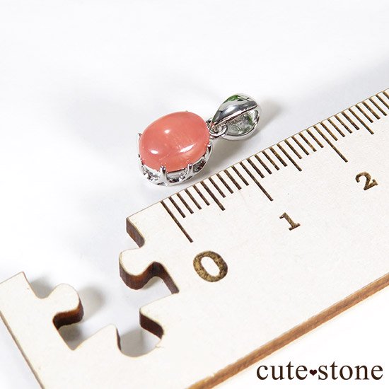 󥫥Υڥȥȥåפμ̿3 cute stone