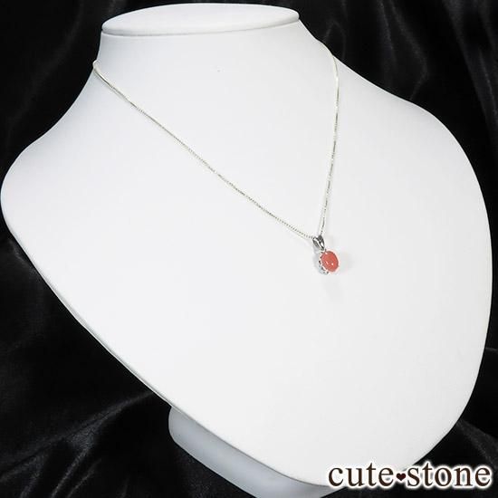 󥫥Υڥȥȥåפμ̿4 cute stone