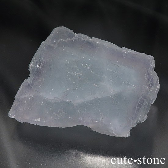  ʻ ֥롼ե饤Ȥμ̿0 cute stone