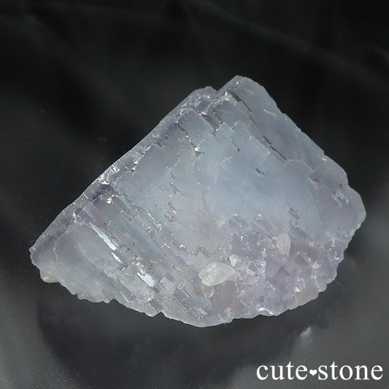  ʻ ֥롼ե饤Ȥμ̿1 cute stone