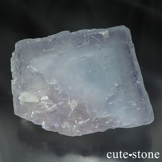  ʻ ֥롼ե饤Ȥμ̿2 cute stone