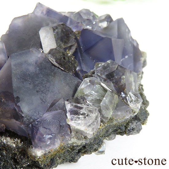  ʡʻѡץե饤ȡ顼쥹ե饤Ȥɸܤμ̿4 cute stone