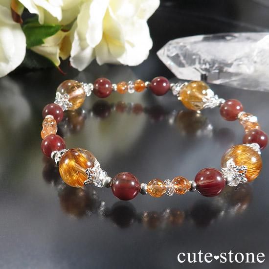 ۤΤ 󥸥ɥ륯 ǥ 󥹥ȡΥ֥쥹å