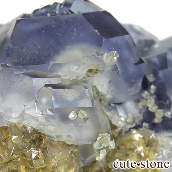  ʡʻѡץե饤Ȥθ 85gμ̿6 cute stone