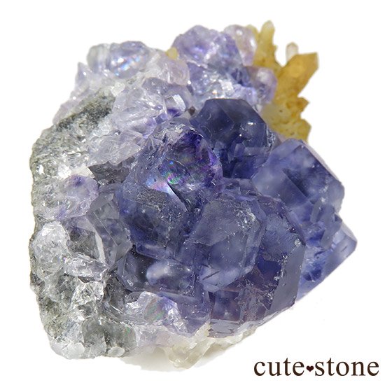  ʡʻѡץե饤Ȥθ 37gμ̿2 cute stone