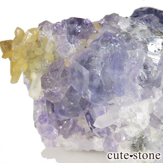 ʡʻѡץե饤Ȥθ 37gμ̿4 cute stone