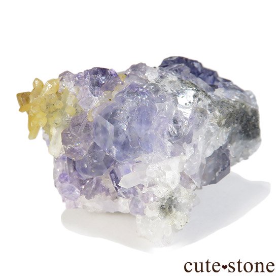  ʡʻѡץե饤Ȥθ 37gμ̿5 cute stone