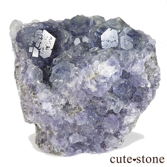  ʡʻѡץ륰꡼ե饤Ȥθ 1008gμ̿0 cute stone