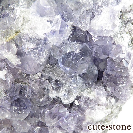  ʡʻѡץ륰꡼ե饤Ȥθ 1008gμ̿5 cute stone
