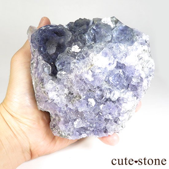  ʡʻѡץ륰꡼ե饤Ȥθ 1008gμ̿6 cute stone