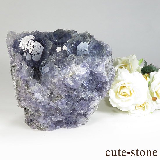  ʡʻѡץ륰꡼ե饤Ȥθ 1008gμ̿8 cute stone