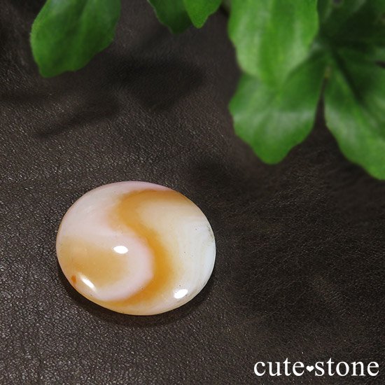 ɥͥ (˿ޡYin Yang) ͤΥ롼μ̿1 cute stone