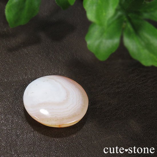 ɥͥ (˿ޡYin Yang) ͤΥ롼μ̿2 cute stone