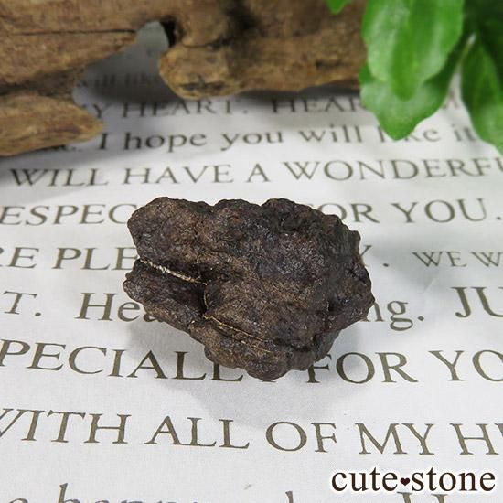 ϥNWA869Фɸܤμ̿1 cute stone