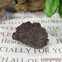 サハラNWA869隕石の標本の画像