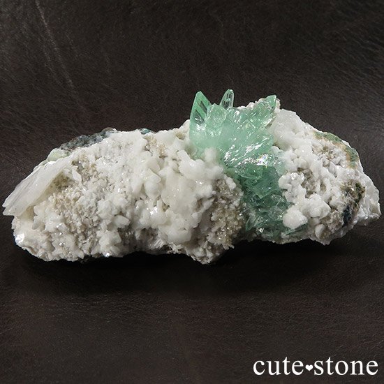 ɡץ͡ʥסʡ˻ ꡼󥢥ݥե饤ȤθФμ̿5 cute stone
