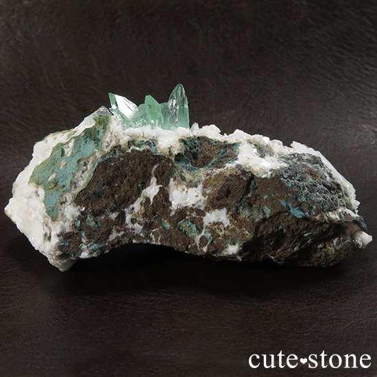 ɡץ͡ʥסʡ˻ ꡼󥢥ݥե饤ȤθФμ̿6 cute stone