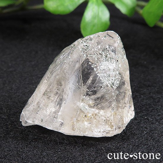 ҥޥ ͡ҥޡ뻺徽 Cμ̿0 cute stone