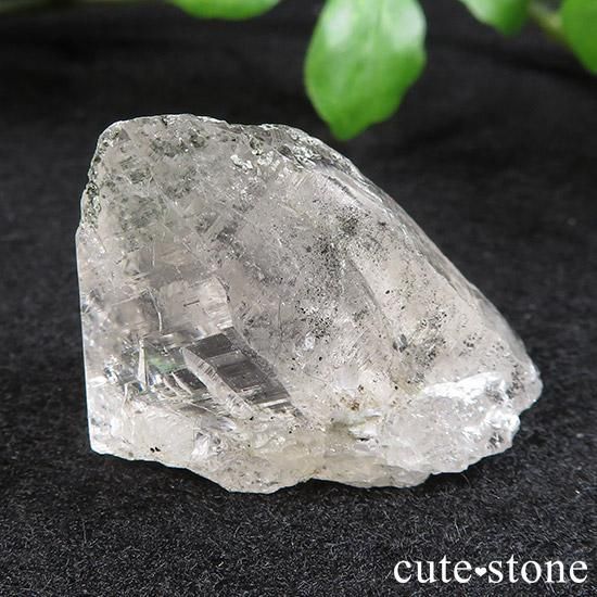 ҥޥ ͡ҥޡ뻺徽 Cμ̿1 cute stone