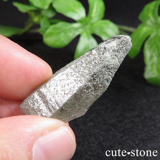 ҥޥ ͡ҥޡ뻺徽 Bμ̿1 cute stone