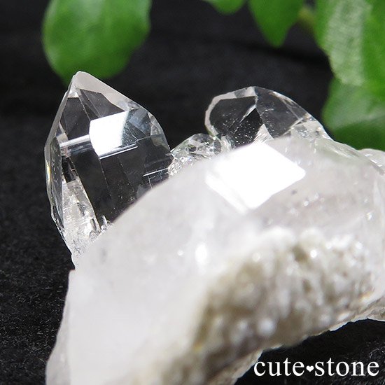 ҥޥ ͡ҥޡ뻺徽 Aμ̿1 cute stone