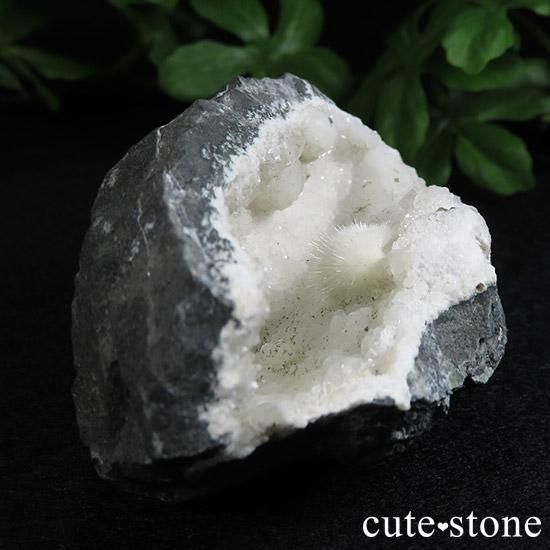 オケナイトの母岩付き原石の写真3 cute stone