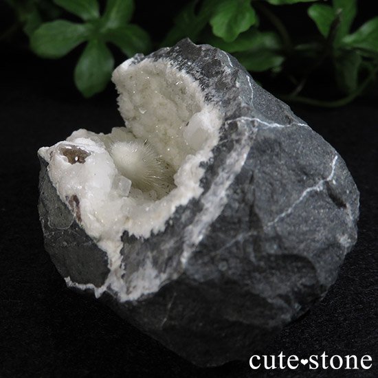 ʥȤդФμ̿4 cute stone