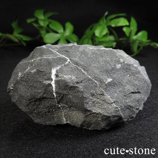 ʥȤդФμ̿5 cute stone
