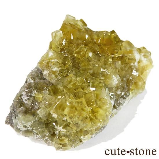 ڥ ⥹ʹۻ ե饤 99gμ̿0 cute stone