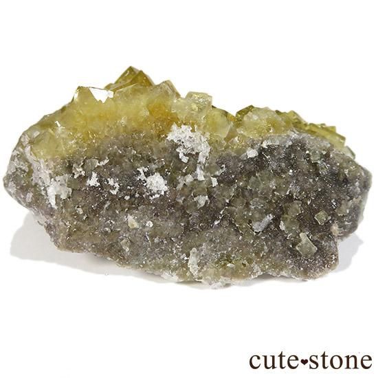 ڥ ⥹ʹۻ ե饤 99gμ̿1 cute stone