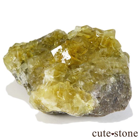 ڥ ⥹ʹۻ ե饤 99gμ̿2 cute stone