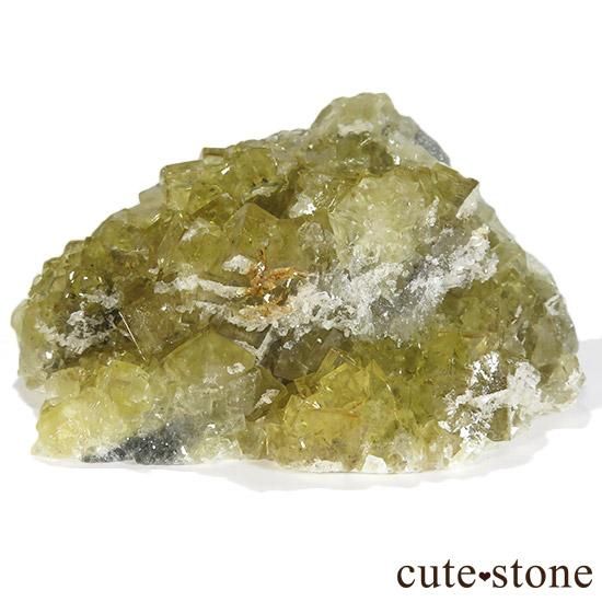 ڥ ⥹ʹۻ ե饤 140g