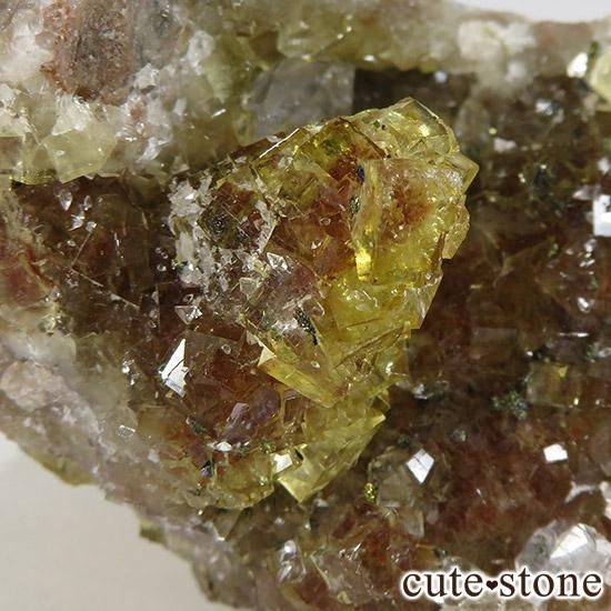 ڥ ⥹ʹۻ ե饤 111gμ̿3 cute stone