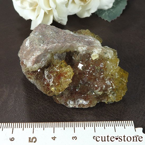 ڥ ⥹ʹۻ ե饤 111gμ̿6 cute stone