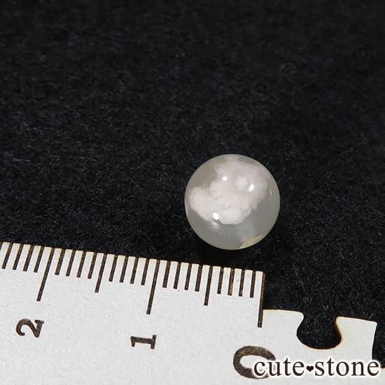 γ ꡼֥åॢ AAAμ̿1 cute stone