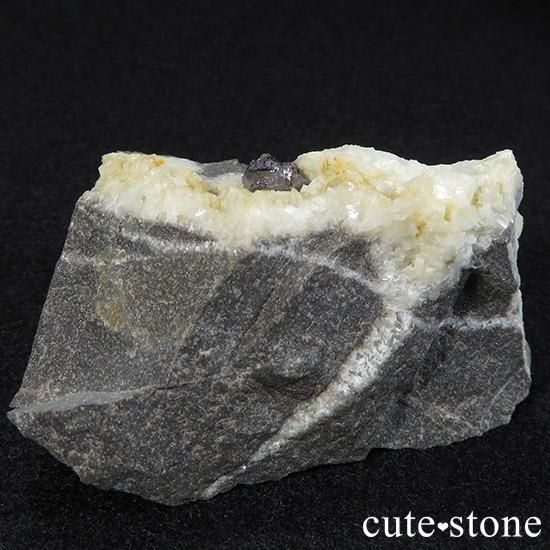 äʥ󥷥˥ʥСդ 85gμ̿1 cute stone