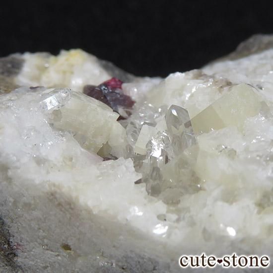 äʥ󥷥˥ʥСդ 78gμ̿1 cute stone