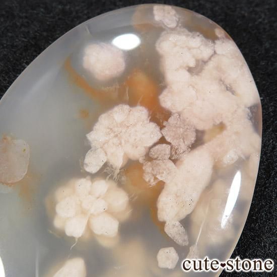 ꡼֥åॢȤΥ롼 Eμ̿1 cute stone