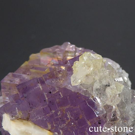 ڥ ٥٥ ѡץե饤ȡĤμ̿1 cute stone