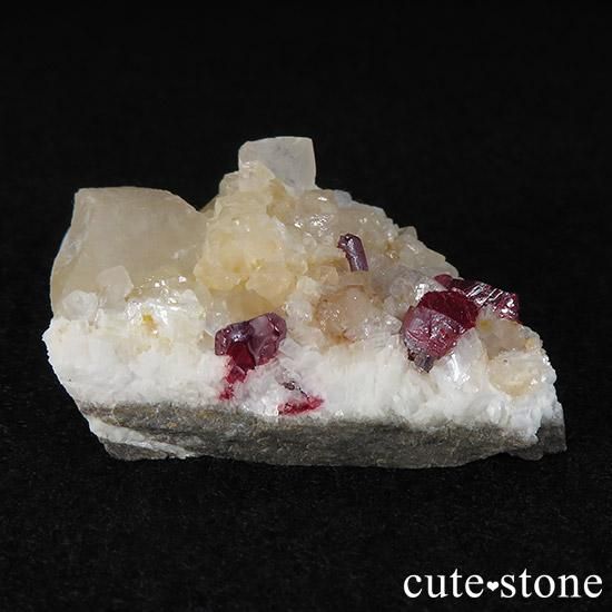 äʥ󥷥˥ʥСդ gμ̿0 cute stone