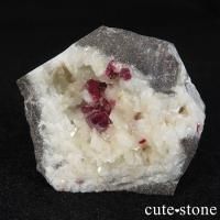 äʥ󥷥˥ʥСդ gβ