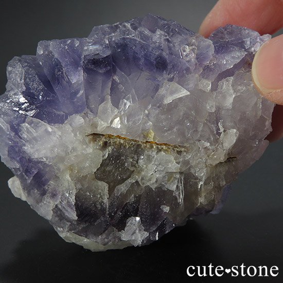 ѥ Х󽣻 륵ȥե饤ȸФμ̿7 cute stone
